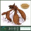 Pueraria (Kudzu Root) P. E. 40% Isoflavnis