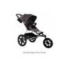 Mountain Buggy Terrain Stroller