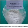 sell your looking for Nandrolone phenylpropionate raw steroid bormone powder