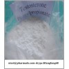 sell your looking for Testosterone Phenylpropionate raw powder