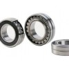 BS Double Seal Series Bearings