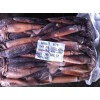 sea frozen argentina illex squid wholesale