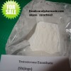 Testosterone enanthate steroid hormone powder