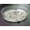 Titanium Dioxide