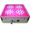 apollo 4 led grow lamps