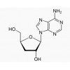 Cordycepin, 73-03-0