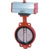 ANSI Pneumatic Butterfly Valve