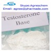 Testosterone Base Raw Steroid Powder for Bodybuilding