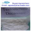 Testosterone Decanoate Raw Steroid Powder for Bodybuilding