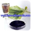 Sodium Iron Chlorophyllin