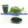 Sodium Magnesium Chlorophyllin