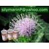 Silymarin (acetone extraction)