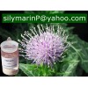 Milk Thistle Extract (Silybin)