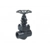 Forged Steel Gate Valve