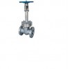 Cryogenic Gate Valve