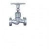 BS 1873 Globe Valve