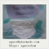 Test Deca Testosterone Decanoate 5721-91-5 Anabolic Steroids , Raw Testosterone Powder