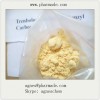 Trenbolone Hexahydrobenzyl Carbonate Trenbolone Powder Raw Steroid