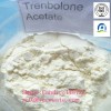 CAS No. 10161-34-9 Natural Trenbolone Steroid Powders to Balance Hormones