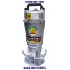 Elecric Submersible Pumps