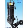 Elecric Submersible Biogas Residue Liquid Pump