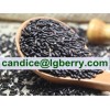 Natural Black Rice Extract Cyanidin-3-glucosides (C3G)