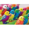 Middle End Digital Singing Birds Toys Chrismas Gift for Children