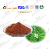 100%natural Fenugreek Seed extract  saponins 10%-70%