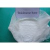 Boldenone