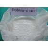 Boldenone Acetate