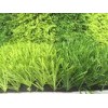 50mm Backyard Artificial Grass For School Playground / Big Stadium PE PP