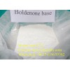 Boldenone Cypionate Powder Steroids For Sale //skype:sucy1171