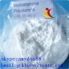 Testosterone Propionate Raw Hormone Powders , CAS 57-85-2 Anti Aging Weight Loss Steroids