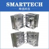 Double Injection Mould