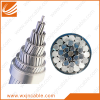 ACSR-Aluminum Conductor Steel Reinforced