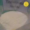 Testosterone Acetate