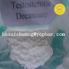 Testosterone Decanoate