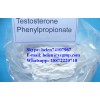 Testosterone Phenylproprionate	 & helen@ycgmp.com