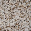 Quartz Stone for Kitchen Countertop Easy-to-clean and Resistant to Stains,Heat and Scratches