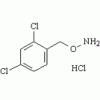 2,4-Dichlorobenzylhydroxylamine hydrochloride[51572-93-1]