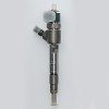 Common Rail Direct Fuel Injector System