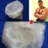 boldenone base