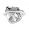 Trunk Cob LED Downlight