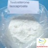 Testosterone Isocaproate in hot sale