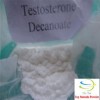 99% high quality Testosterone decanoate supplier