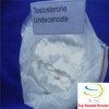 Testosterone undecanoate steroids supplier