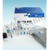 Mouse Netrin-4(NTN4) ELISA kit