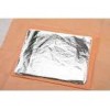 Imitation Silver Leaf Without Paper YD-F-01