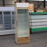 Plug-in Vertical Glass Door Fr