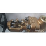 Bronze Globe Valve